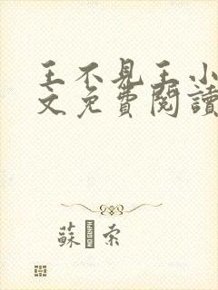 王不见王小说全文免费阅读