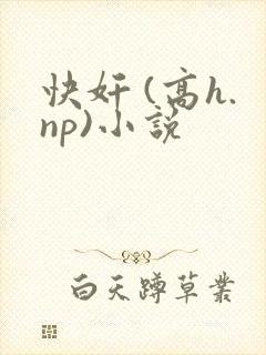 快奸 (高h.np)小说封面