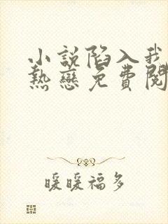 小说陷入我们的热恋免费阅读全文封面