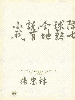 小说,全球降临,我有地煞七十二变封面