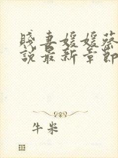 贱妻媛媛蔡叔小说最新章节更新