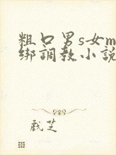 粗口男s女m捆绑调教小说封面