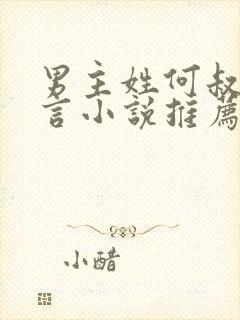 男主姓何叔嫂古言小说推荐封面