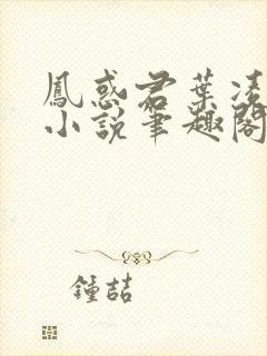 凤惑君叶凌天的小说笔趣阁