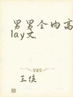 男男全肉高hplay文