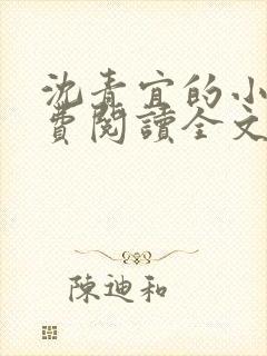 沈青宜的小说免费阅读全文