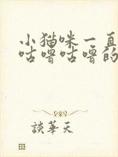 小猫咪一直发出咕噜咕噜的声音