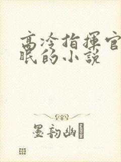 高冷指挥官被催眠的小说