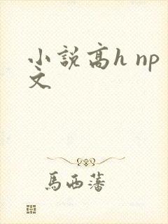 小说高h np文