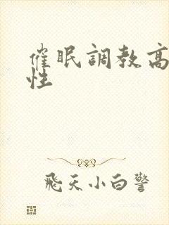 催眠调教高冷双性