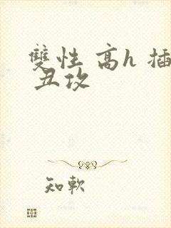 双性 高h 插 丑攻封面