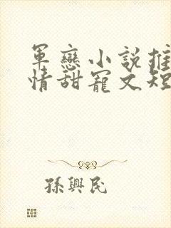 军恋小说推荐言情甜宠文短篇小说