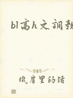 bl高h文调教封面