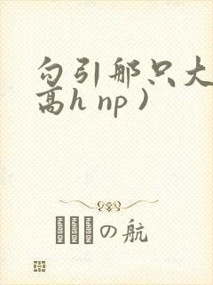 勾引那只大鸟(高h np )