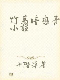 竹马暗恋青梅的小说封面