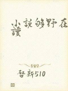 小说够野在线阅读封面