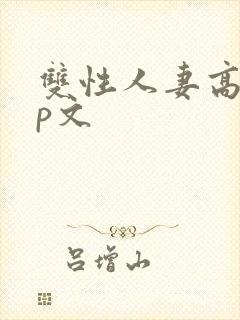 双性人妻高hnp文