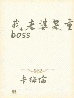 我老婆是重生大boss