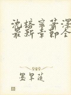 沈榕宁萧泽小说最新章节全文阅读