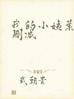 我的小姨叶凡无删减封面