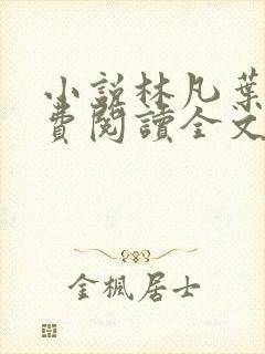 小说林凡叶惜免费阅读全文最新