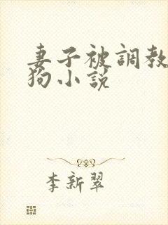 妻子被调教成母狗小说封面