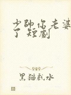 少帅你老婆又跑了 短剧