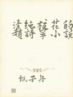 清纯校花的堕落赵诗宁小说全文免费