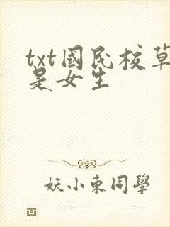 txt国民校草是女生封面