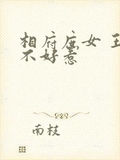 相府庶女 王妃不好惹