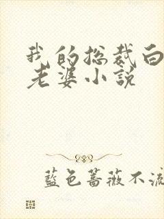 我的总裁白富美老婆小说