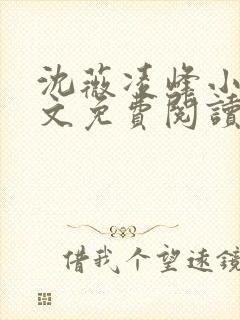 沈薇凌峰小说全文免费阅读最新章节