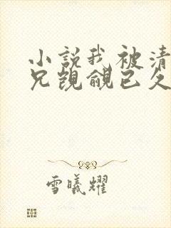 小说我被清冷师兄觊觎已久小说