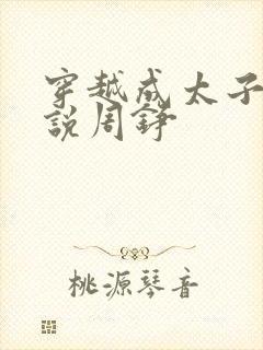 穿越成太子的小说周铮