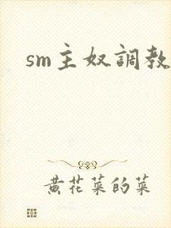 sm主奴调教文封面
