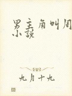 男主角叫周诚的小说