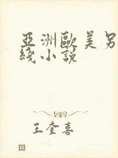 亚洲欧美另类在线小说