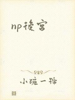 np后宫封面