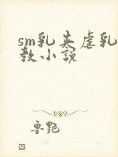 sm乳夹虐乳调教小说