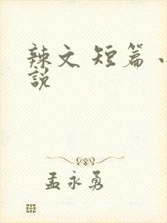 辣文 短篇 小说封面