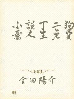 小说丁二狗的肆意人生免费阅读