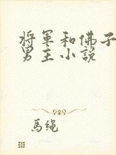 将军和佛子的双男主小说