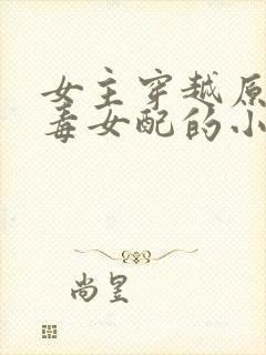 女主穿越原耽恶毒女配的小说封面