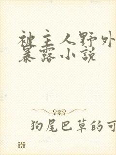 被主人野外调教暴露小说