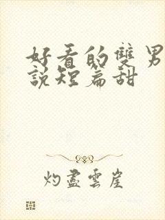 好看的双男主小说短篇甜