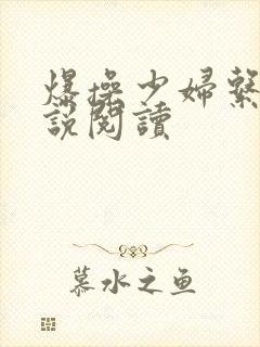 爆操少妇系列小说阅读