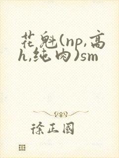 花魁(np,高h,纯肉)sm