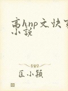 高hnp文快穿小说