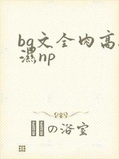 bg文全肉高h湿np