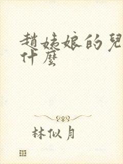 赵姨娘的儿子叫什么